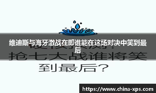 维迪斯与海牙激战在即谁能在这场对决中笑到最后